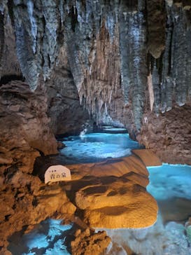 おきなわワールドに投稿された画像（2022/12/4）