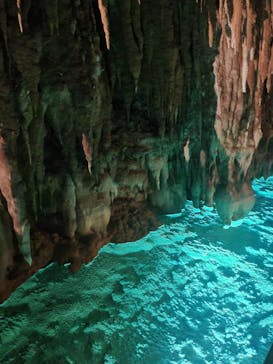 おきなわワールドに投稿された画像（2022/12/4）