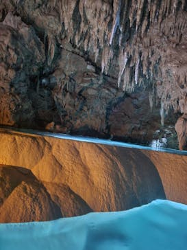 おきなわワールドに投稿された画像（2022/12/4）