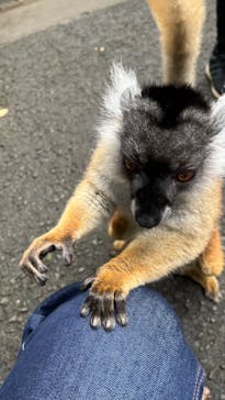 長崎バイオパークに投稿された画像（2022/12/4）