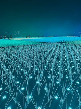 東京メガイルミに投稿された画像（2022/12/4）