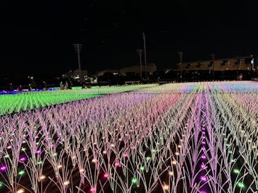 東京メガイルミに投稿された画像（2022/12/4）