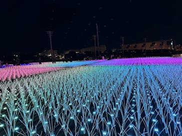 東京メガイルミに投稿された画像（2022/12/4）