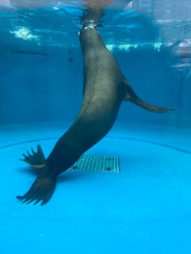 サンシャイン水族館に投稿された画像（2022/12/4）