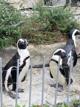 サンシャイン水族館に投稿された画像（2022/12/4）