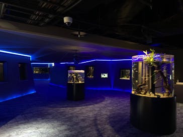 カワスイ 川崎⽔族館に投稿された画像（2022/12/4）