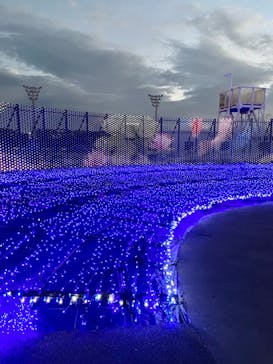 東京メガイルミに投稿された画像（2022/12/4）