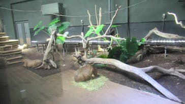 カワスイ 川崎⽔族館に投稿された画像（2022/12/4）