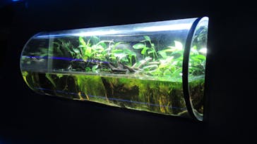 カワスイ 川崎⽔族館に投稿された画像（2022/12/4）