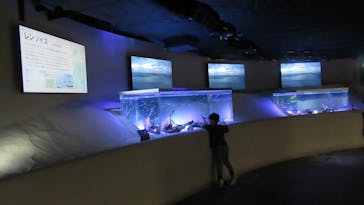 カワスイ 川崎⽔族館に投稿された画像（2022/12/4）