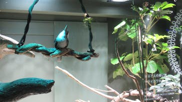 カワスイ 川崎⽔族館に投稿された画像（2022/12/4）