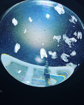 サンシャイン水族館に投稿された画像（2022/12/4）