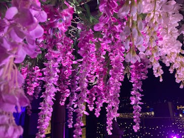 東京メガイルミに投稿された画像（2022/12/4）