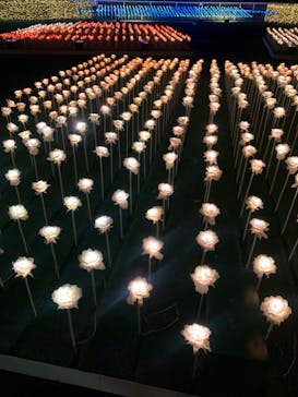 東京メガイルミに投稿された画像（2022/12/4）