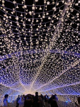 東京メガイルミに投稿された画像（2022/12/4）