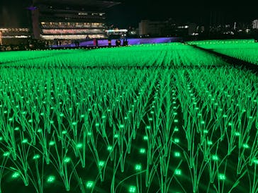 東京メガイルミに投稿された画像（2022/12/4）