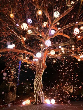 西武園ゆうえんちに投稿された画像（2022/12/4）