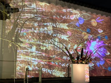 NAKED FLOWERS 2022 秋 世界遺産・二条城に投稿された画像（2022/12/4）