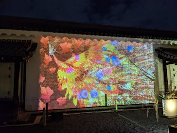 NAKEDヨルモウデ2022平安神宮に投稿された画像（2022/12/4）