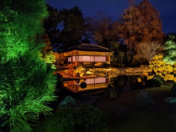 NAKEDヨルモウデ2022平安神宮に投稿された画像（2022/12/4）