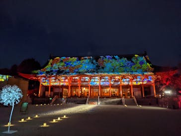 NAKEDヨルモウデ2022平安神宮に投稿された画像（2022/12/4）