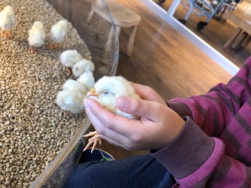 Moff animal cafe 小田原ダイナシティ店に投稿された画像（2022/12/4）