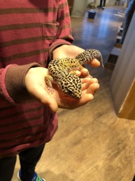 Moff animal cafe 小田原ダイナシティ店に投稿された画像（2022/12/4）