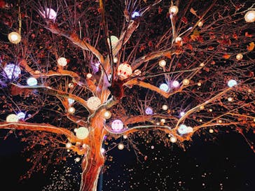 西武園ゆうえんちに投稿された画像（2022/12/4）