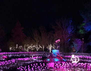 大阪府立花の文化園に投稿された画像（2022/12/4）