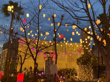 ひらかたパークに投稿された画像（2022/12/4）