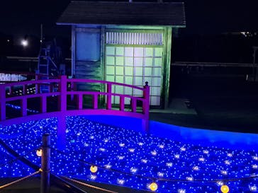 東京メガイルミに投稿された画像（2022/12/4）