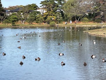 三溪園に投稿された画像（2022/12/4）