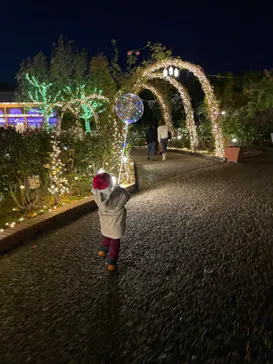 ひらかたパークに投稿された画像（2022/12/4）