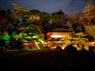 NAKED FLOWERS 2022 秋 世界遺産・二条城に投稿された画像（2022/12/4）