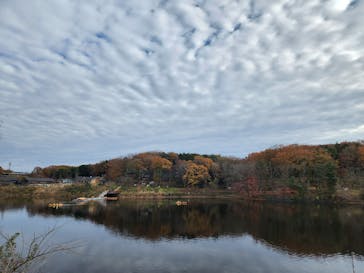 ムーミンバレーパークに投稿された画像（2022/12/4）
