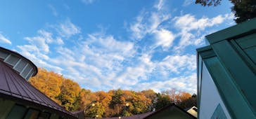 ムーミンバレーパークに投稿された画像（2022/12/4）