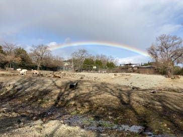 那須サファリパークに投稿された画像（2022/12/4）