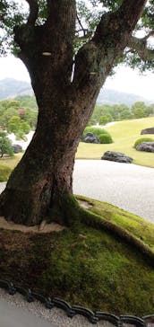 足立美術館に投稿された画像（2022/12/4）