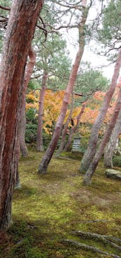 足立美術館に投稿された画像（2022/12/4）