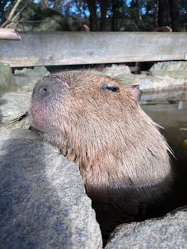 長崎バイオパークに投稿された画像（2022/12/4）
