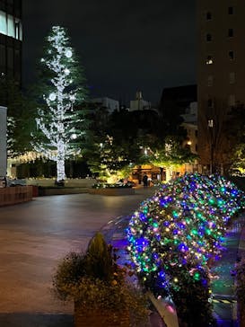 ムーミンバレーパークに投稿された画像（2022/12/4）