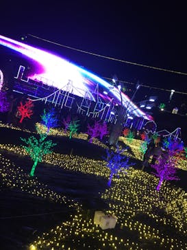 伊豆ぐらんぱる公園に投稿された画像（2022/12/4）