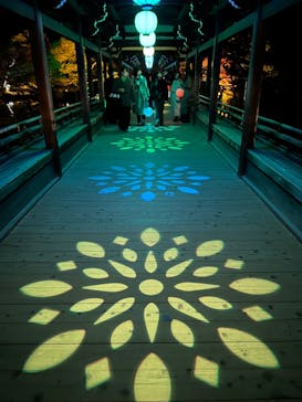 NAKEDヨルモウデ2022平安神宮に投稿された画像（2022/12/4）