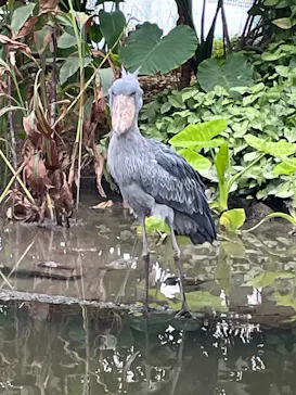 神戸どうぶつ王国に投稿された画像（2022/12/5）