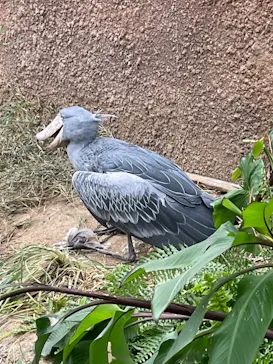 神戸どうぶつ王国に投稿された画像（2022/12/5）