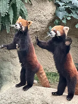 神戸どうぶつ王国に投稿された画像（2022/12/5）