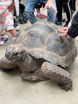神戸どうぶつ王国に投稿された画像（2022/12/5）