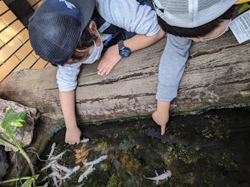 体感型動物園iZooに投稿された画像（2022/12/5）