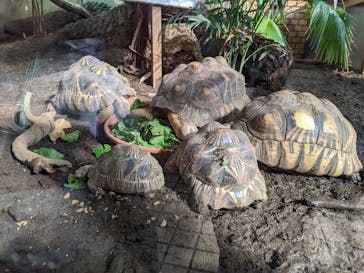 体感型動物園iZooに投稿された画像（2022/12/5）