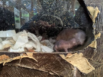 体感型動物園iZooに投稿された画像（2022/12/5）